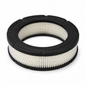 Filtre à air Briggs & Stratton 692519 pour moteur de motoculture